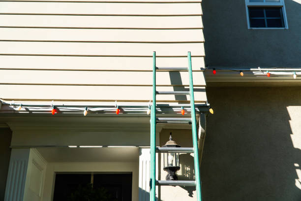 Best Stone Veneer Siding  in Elliston, VA