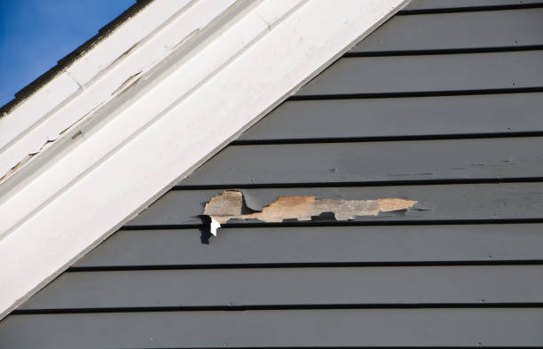 Best Aluminum Siding Installation  in Elliston, VA