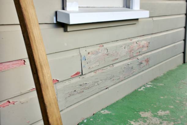 Best Siding for New Construction  in Elliston, VA