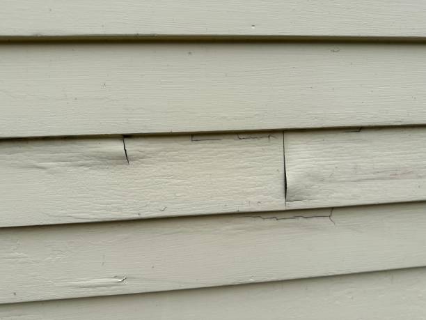 Affordable siding repair and maintenance services in Elliston, VA